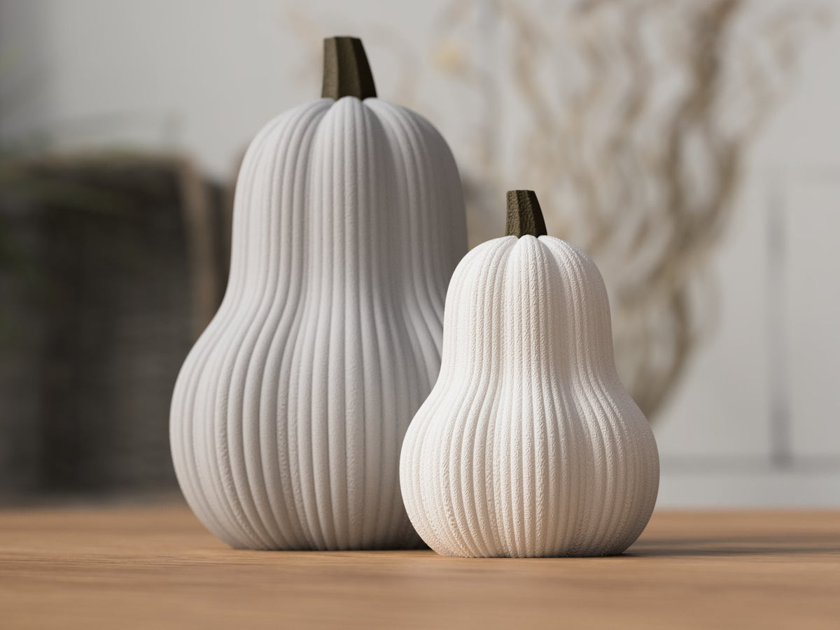 Sabre Butternut Græskar - Billede 3