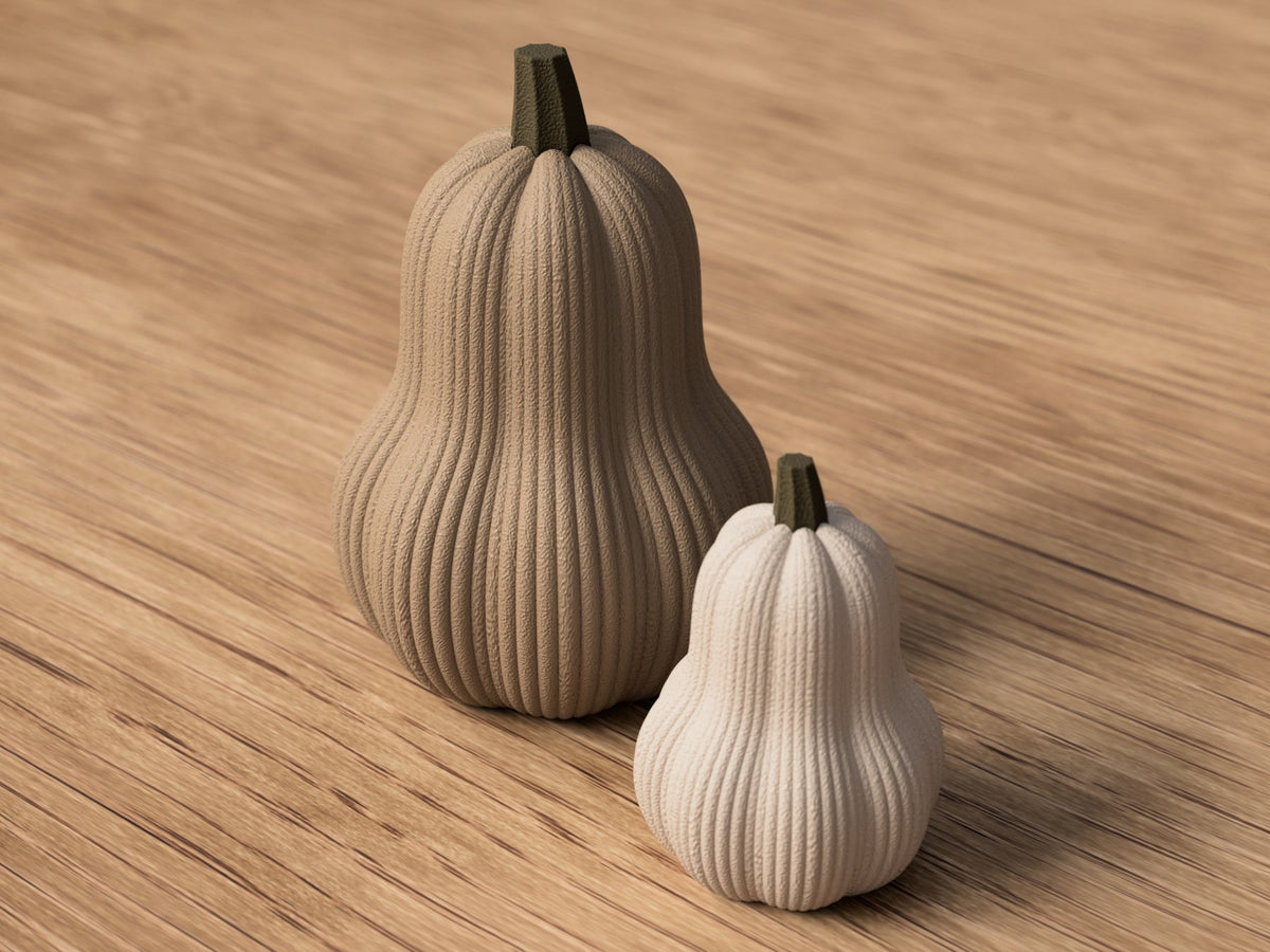 Sabre Butternut Græskar - Billede 4