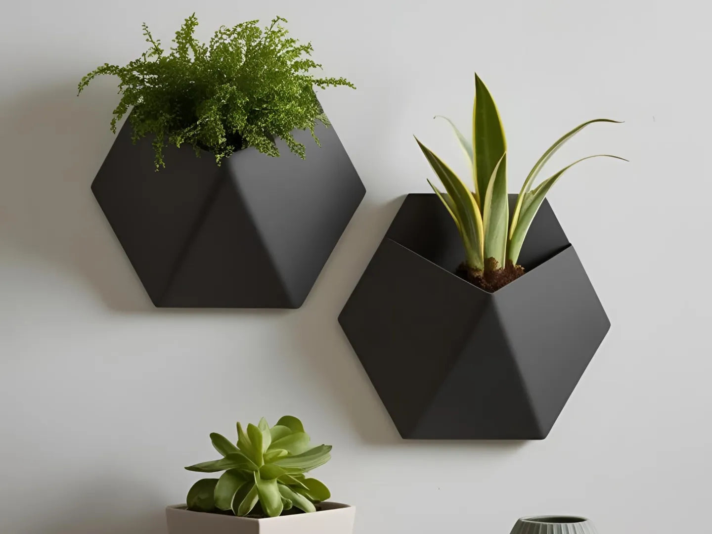Delta Hexagon Vægmonteret Plantepotte - pladsbesparende vægdekoration til små planter og succulenter fra JM Dimensions