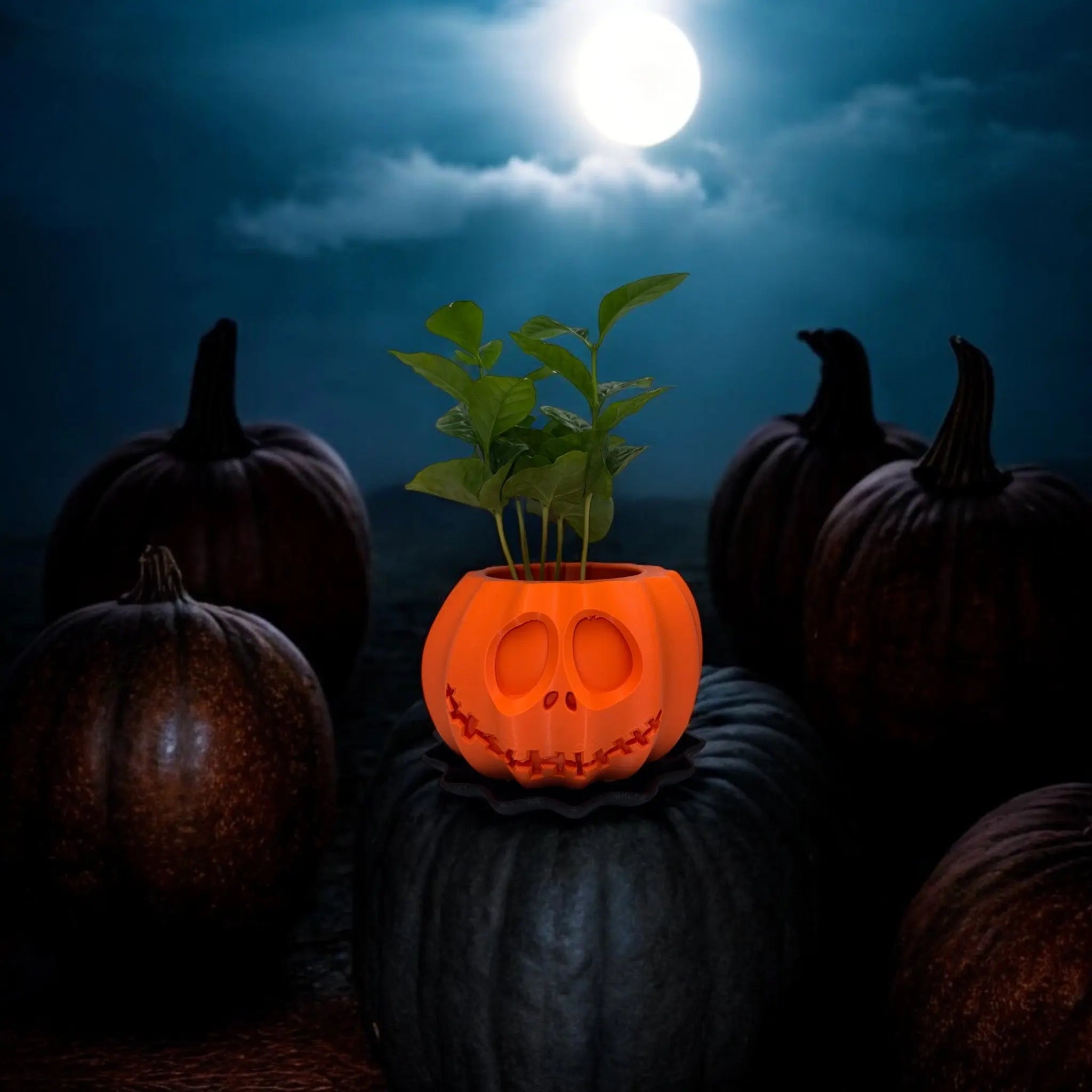 H3L Jack o'Planter – Halloween blomsterpotte med underskål til dekoration og planteholder fra JM Dimensions