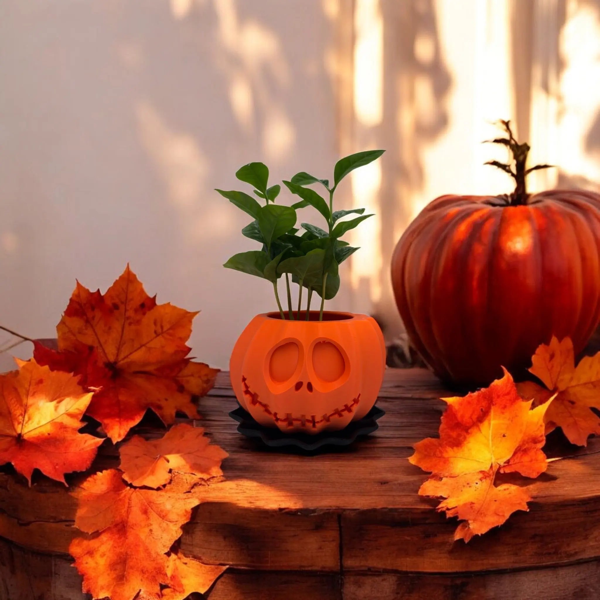 H3L Jack o'Planter – Halloween blomsterpotte med underskål til planter og dekoration fra JM Dimensions