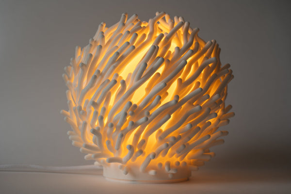Leora O7 Coral Skulpturlampe, tændt, med organiske forgreninger