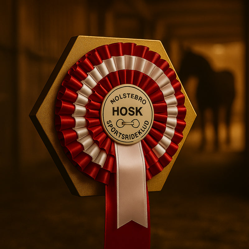 Rosetholder til væg - modulært heksagonalt rosette-display til udstilling af rosetter og præmier fra JM Dimensions