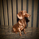 Delta Gravhund skulptur