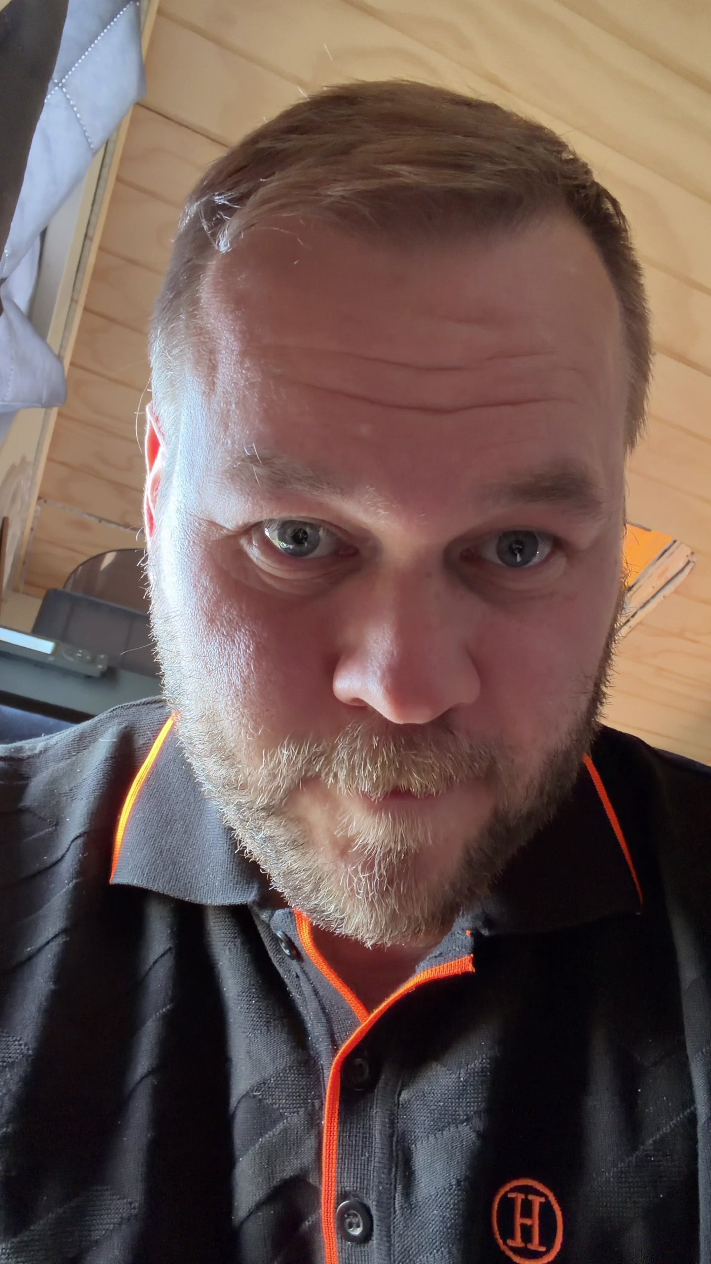 Delta Low-Poly Anubis buste