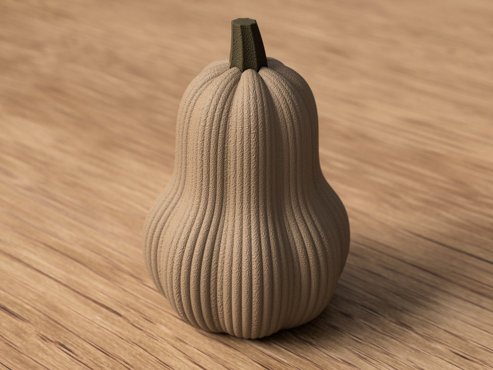 Sabre Butternut Græskar - Billede 2