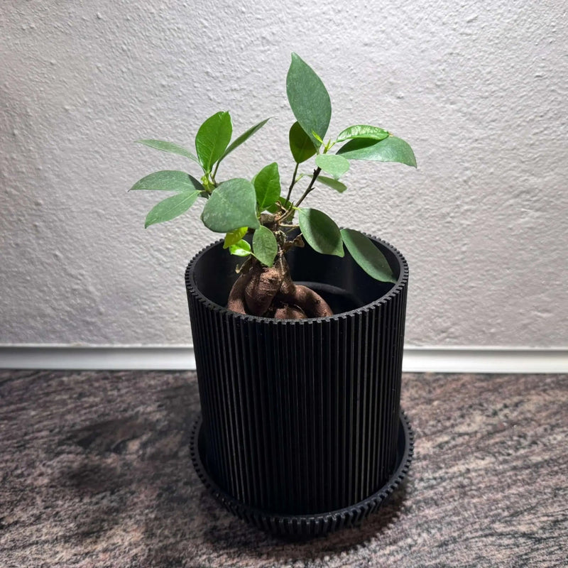 Sabre Stilfuld Potte med Ben - Billede 3